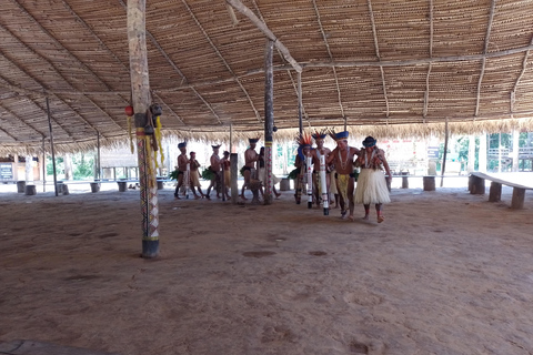 Tour condiviso in motoscafo sul Rio Negro