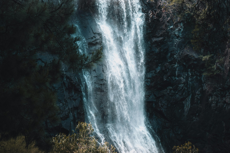 1 Day Marangu Waterfalls and Cultural Day Tour - Day Trips