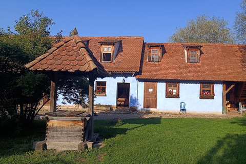 Brașov – Viscri – Sighișoara Day Trip