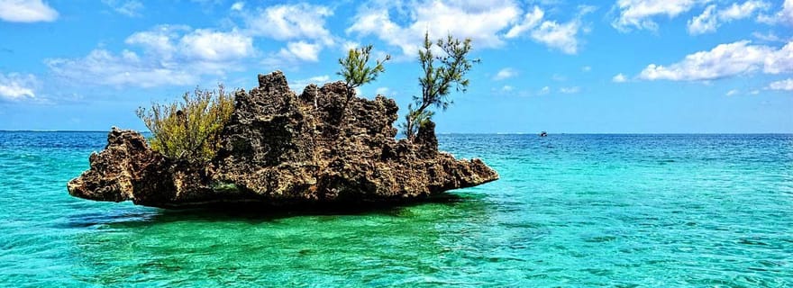 Île Aux Bénitiers : visite privative de Crystal Rock, déjeuner sur l'île