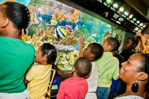 Boston : billet coupe-file aquarium de Nouvelle-AngleterreBoston : billet d'entrée à l'Aquarium de Nouvelle-Angleterre