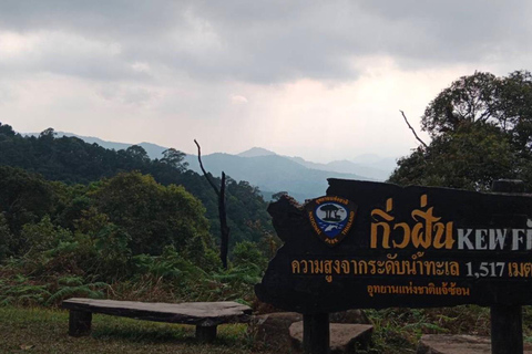 Chiang Mai: Passeio pela vila de Mae Kampong, fontes termais e Bor Sang