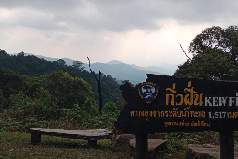 Chiang Mai: Passeio pela vila de Mae Kampong, fontes termais e Bor Sang