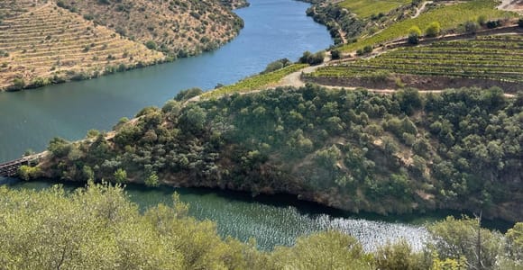 Depuis Porto : road trip dans la vallée du Douro avec déjeuner et collations