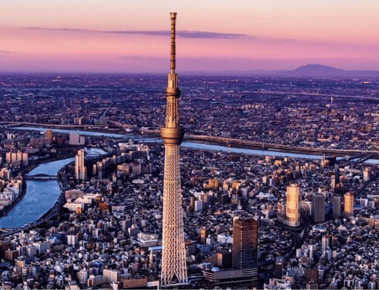 Individuelle private Tagestour durch Tokio mit englischsprachigem Guide