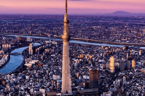 Tokyo Full Day Private Sightseeing Tour with English Guide Tokyo Full Day Private Sightseeing Tour with English Guide