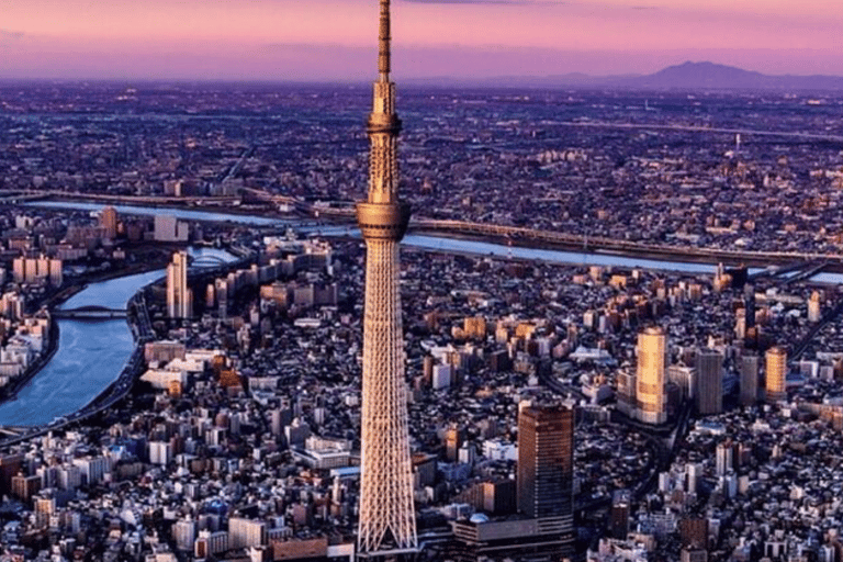 Tokyo Full Day Private Sightseeing Tour with English Guide Tokyo Full Day Private Sightseeing Tour with English Guide