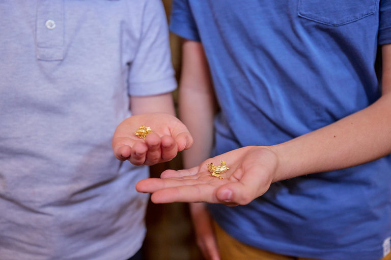 Dresden: Guided Tour for Children Through the Semperoper Using All the Senses Dresden: Children's Tour through the Semperoper with All the Senses