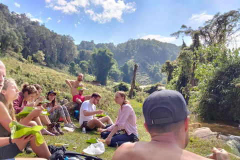 Chiang Mai: 3Days 2Night Trek in Doi Inthanon Area