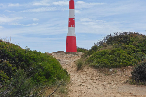 Albufeira: Albufeira Marina & west coast Tour 1.5h