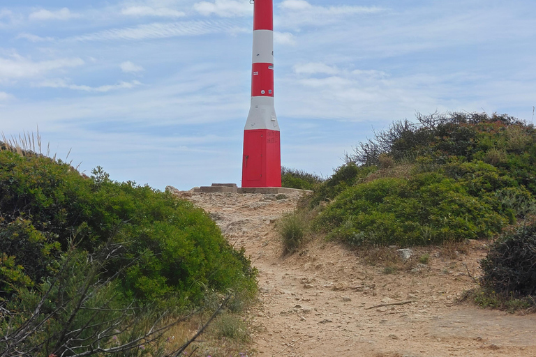 Albufeira: Albufeira Marina & west coast Tour 1.5h