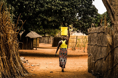 Livingstone: Passeio pela Vila Mukuni com Refeição TradicionalLivingstone: passeio pela aldeia de Mukuni com refeição tradicional