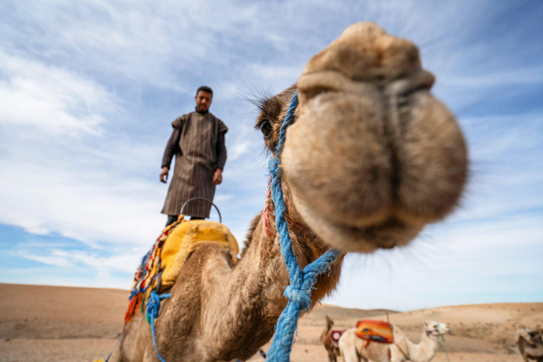 From Agadir: Sunset Camel Ride with BBQ Dinner and Transfers