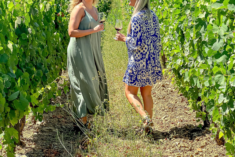 From Porto: Douro Valley Private Tour w/ 3 Wineries & Lunch Douro Valley Authentic Tour w/ 3 wineries & lunch in French