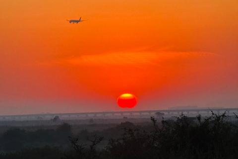 Nairobi Park Safari, Sheldrick's Orphanage & Giraffe Center Shared Drive in Open-Roof Van Game Drive