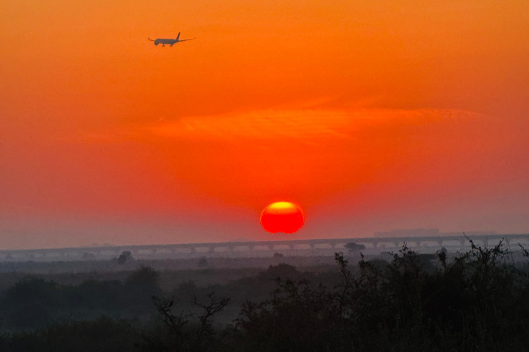 Nairobi Park Safari, Sheldrick's Orphanage & Giraffe Center Shared Drive in Open-Roof Van Game Drive