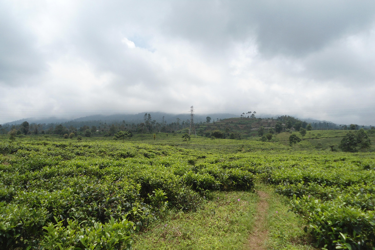 Passeios de destaque em Cianjur