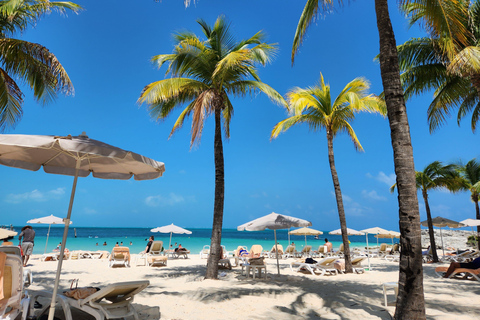 Jamaica: Private Custom Sightseeing Tour with Local Guide