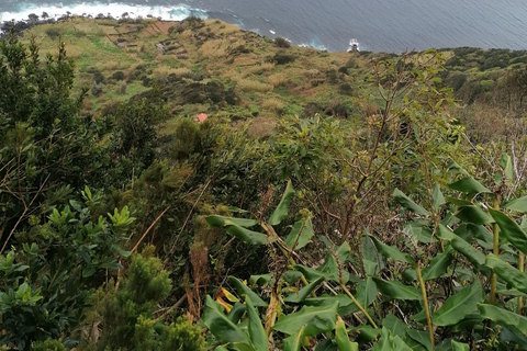 São Jorge: Fajã Camping and Hiking Tour