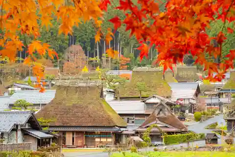 京都：宮山村、天橋立、伊奈灣一日遊