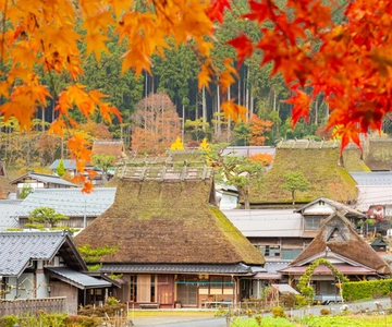 Kyoto: Miyama Village, Amanohashidate, and Ine Bay Day Trip