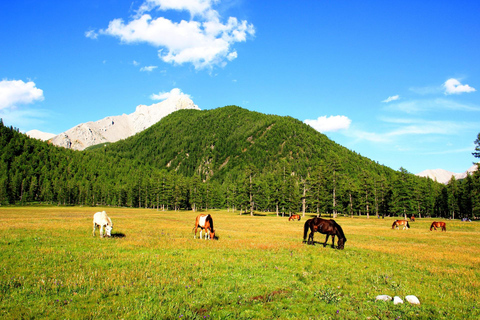 Mongolië: 17-daagse trektocht te paard rond het meer van KhovsgolMongolië: 10-daagse trektocht te paard rond het meer van Khovsgol