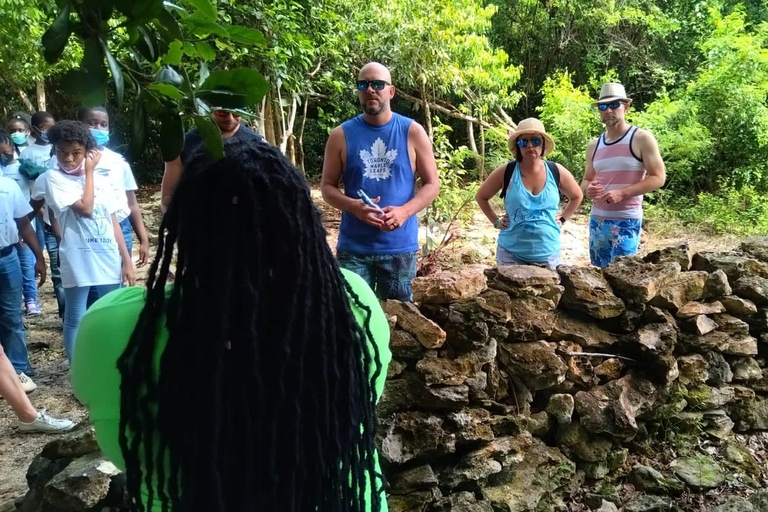 Nassau: ATV or Buggy Island Tour