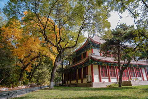 Pekin: Wycieczka piesza z przewodnikiem po kampusie Uniwersytetu Pekińskiego