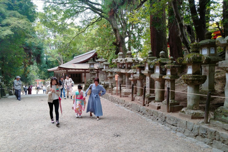 Tokyo-Kamakura-Hakone-Mt.Fuji-Nara-Kyoto-Osaka: tour di 3 giorniTour di 3 giorni: Tokyo, Kamakura, Hakone, Fuji, Nara, Kyoto, Osaka