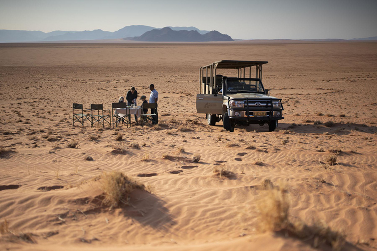 From Windhoek: 6-Day Namibia Safari with Lodging & Meals
