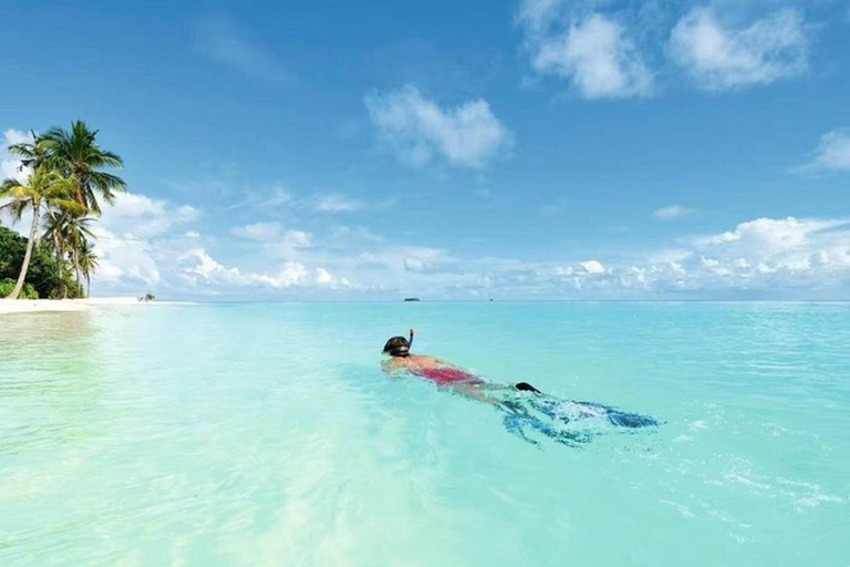 Lushoto: lekcja gotowania i lokalne tańceWycieczka prywatna bez transportu powrotnego do hotelu