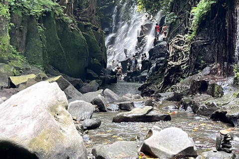 Discover Awesome Hidden Gems waterfalls Tour in Ubud Private Group with English Speaking Guide Tour