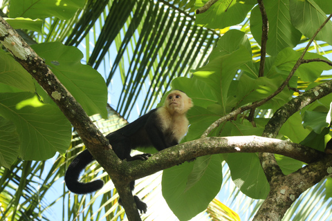 Corcovado National Park San Pedrillo Station from Uvita