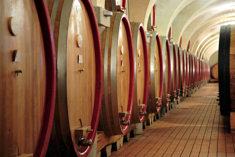 Rome: Tuscany Day Trip with Vineyard Lunch and Wine Tasting Rome: Pienza & Civita di Bagnoregio with Lunch & Wine