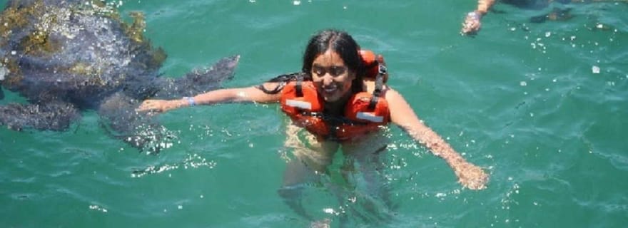 De Piura : Excursion à Mancora + Baignade avec les tortues