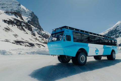 Columbia Icefield, Glacier Adventure & Skywalk Premium Tour