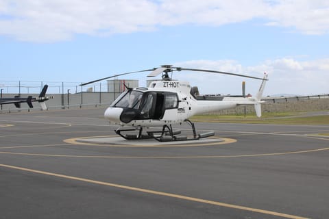 Cape Town: Peninsula Helicopter Tour with Hotel Pickup