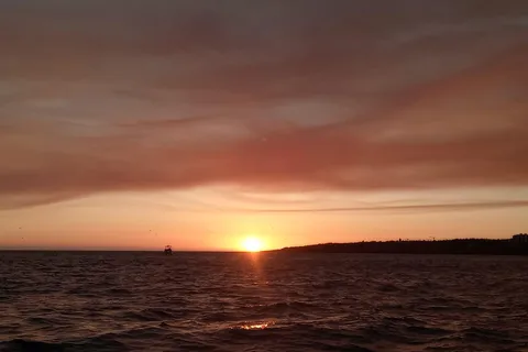 Cascais: Sunset Boat Trip with Welcome Drinks