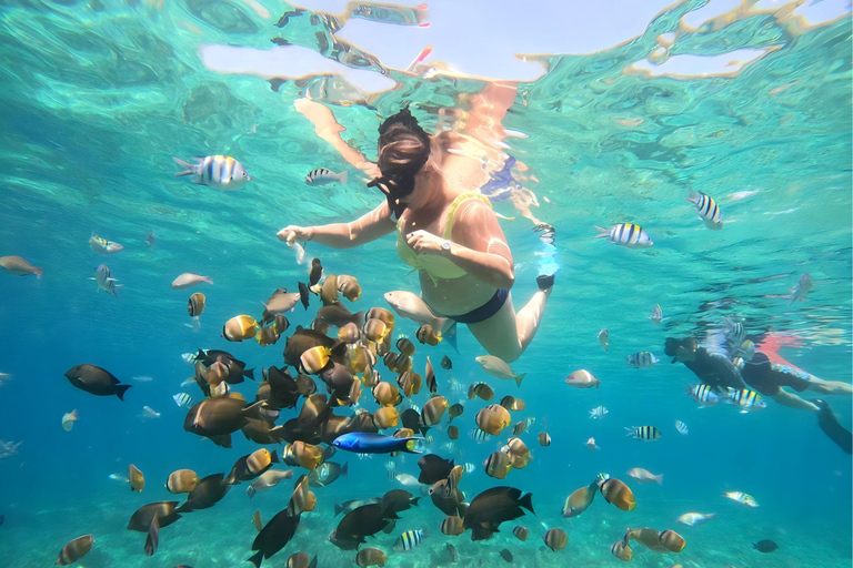 Gili Eilanden: Snorkel privé rondvaart met lokale gidsGroepsreis deluxe met trefpunt Gili Trawangan