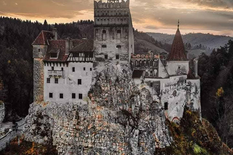 Brașov: Dracula's Castle, Bear Sanctuary, & Cave Tour