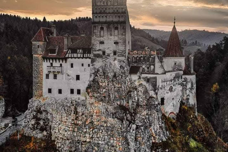 Brașov: Dracula's Castle, Bear Sanctuary, & Cave Tour