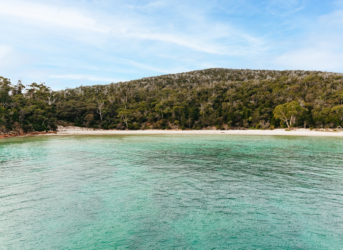 Fra Coles Bay: Wineglass Bay-krydstogt med frokost