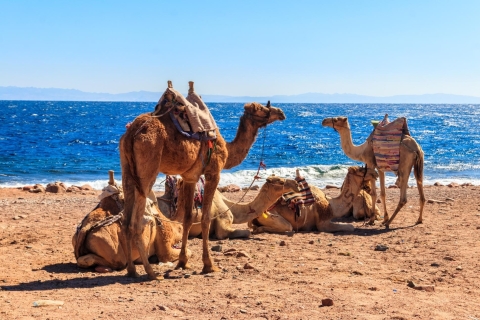 Von Sharm aus: Dahab Top Attraktionen & Aktivitäten 2-Tage Camp