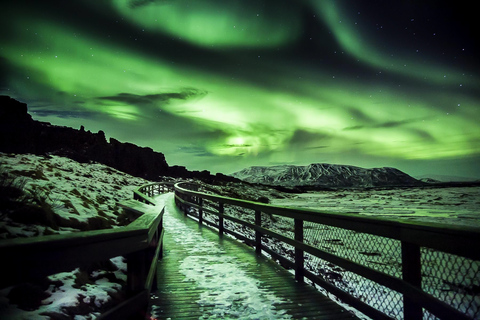 Ab Reykjavik: Nordlichter Premiumtour in Kleingruppe