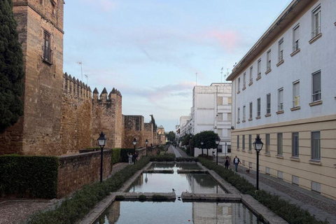 Córdoba Courtyards, Jewish Quarter and Synagogue Sightseeing Tour Cordoba's Courtyards, Jewish Quarter and Synagogue Sightseeing Tour