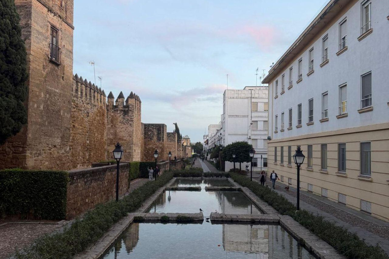 Córdoba Courtyards, Jewish Quarter and Synagogue Sightseeing Tour Cordoba's Courtyards, Jewish Quarter and Synagogue Sightseeing Tour