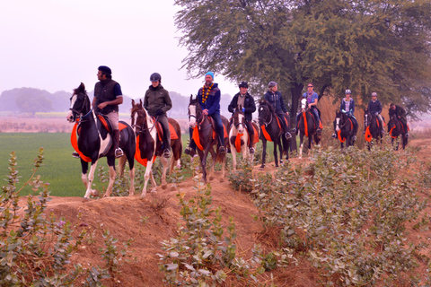 Jaipur paardrij avontuur