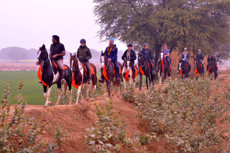 Jaipur Horse Riding Adventure