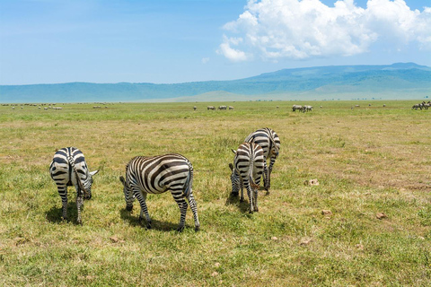 Safari budgétaire de groupe de 8 jours à travers le Kenya et la Tanzanie