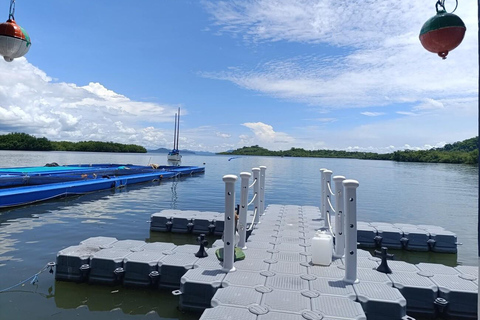 Seafood Gastronomic Tour to the Floating Restaurant of Puntarenas by boat